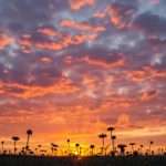 Saksikan keindahan langit yang berubah dari fajar hingga senja. Temukan pesona setiap momen dan nikmati perubahan alam yang memukau sepanjang hari.